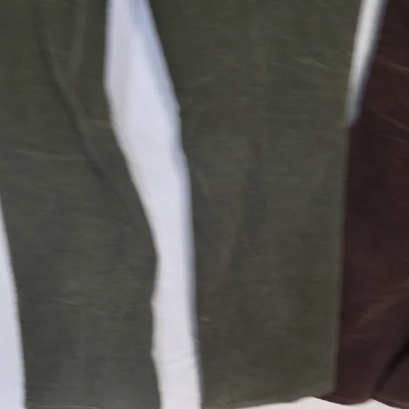 Coldwater Creek Corduroy Pants in Olive and Burgundy Sz 14 - Picture 10 of 15